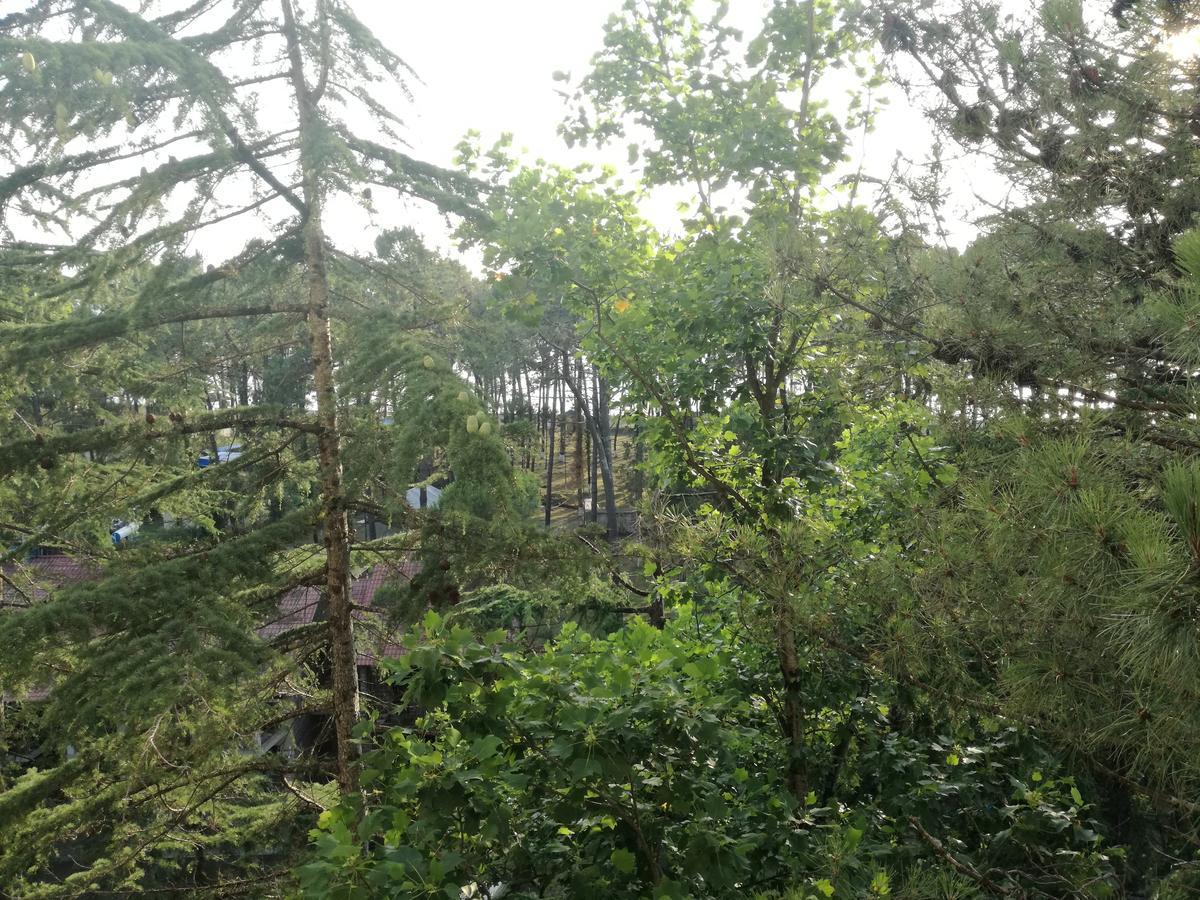 Studio Apartment With Great View Ureki Exterior foto